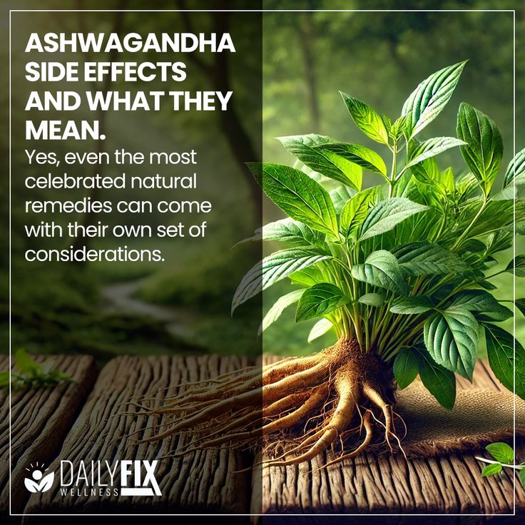 ASHWAGANDHA - 2 x 129  REDUCE EL ESTRÉS - MEJORA EL SUEÑO - REDUCE EL CORTISOL